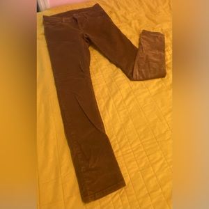 Patagonia Corduroy Pants